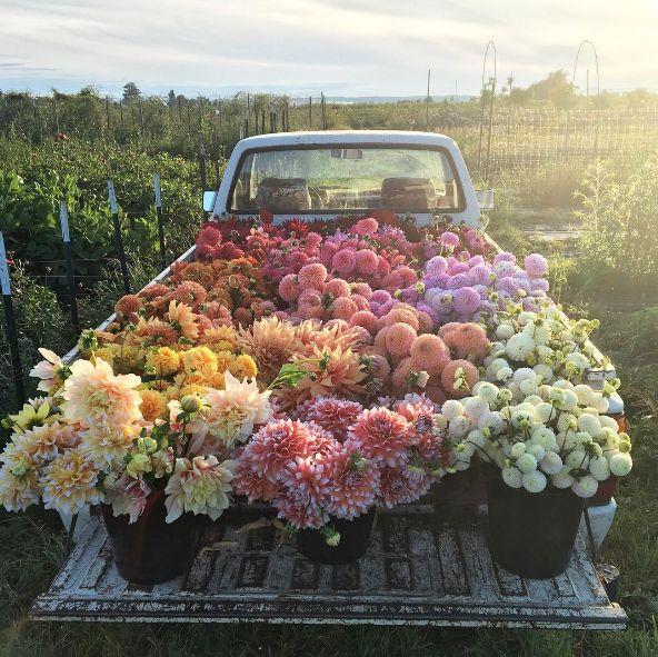 Whisper of Dawn Pastel Posy